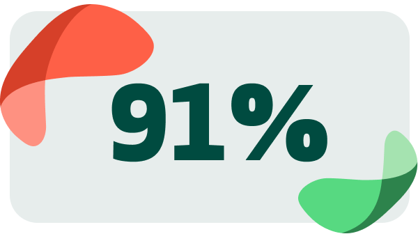 Icon showing 91%